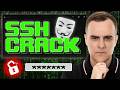 Brute Force SSH & Build a Honeypot Now (Hydra and Cowrie Demo)