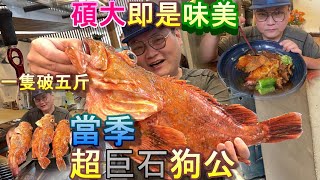 【巨石強身カサゴの前処理\u0026料理】難得遇上超大石狗公，那充滿彈力與膠質的口感，可是滋補強身的好物，阿坤有請郭師傅示範怎麼處理與料理這高級食材，才不會浪費了這夏季海珍。ＦＴ《料理中的料理人－郭宗坤》