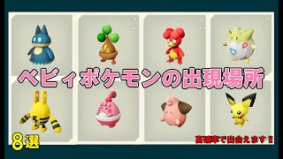 【レジェンズアルセウス】ベビィポケモンの出現場所【解説】