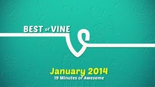 Best Vine Compilation (January 2014 VINE COMPILATION)
