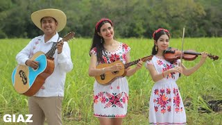 ''LA HUASTECA POTOSINA'' - Trio CANTORES DE TANTOCOB (Official Video)