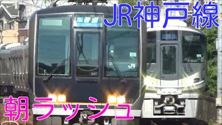 次々と電車が来る平日朝ラッシュのJR神戸線 さくら夙川駅1時間ノーカット！並走・高速通過 225系100番台の新快速・221系外線快速など