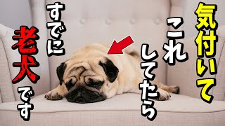 【ゆっくり解説】気付いて！犬の老化サイン12選