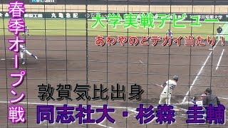 【2019春季オープン戦/大型新人(大学初打席)】2019/02/27同志社大新1年生・杉森 圭輔(鯖江ボーイズ→敦賀気比高)