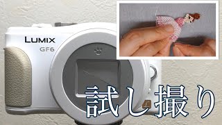 【LUMIX GF6】中古カメラ買ったので試し撮り I got used camera