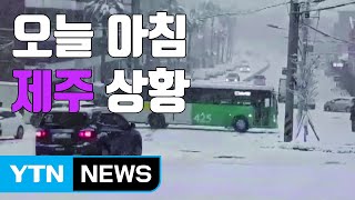 [자막뉴스] 제주 아침 출근길 '폭설'...곳곳에서 '혼란' 극심 / YTN