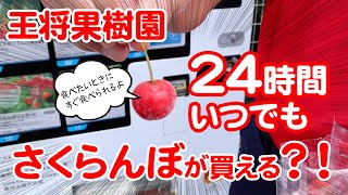 自販機で 24時間 いつでも 王将果樹園のさくらんぼが買える？！