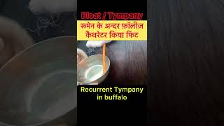 Recurrent Tympany l bloat l dr Umar Khan