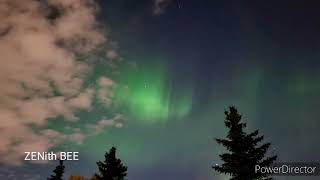 IT'S A BEAUTIFUL \u0026 COLOURFUL LADY AURORA BOREALIS / NORTHERN LIGHT | ZENith BEE