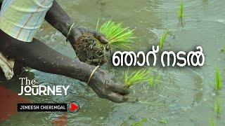 [0011]  ഞാറു നടൽ | NJARU NADAL\\ JINEESH CHERINGAL \\ THE JOURNEY