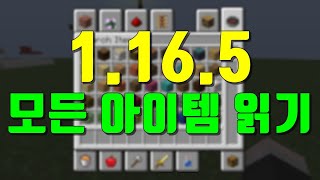 마인크래프트 1.16에 있는 \