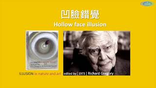 快閃科學 (7) 視錯覺 #阿駿日常 #hollowfaceillusion  #雙眼視差