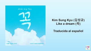 Kim Sung Kyu (김성규) - Like a dream (꼭) en español!!!