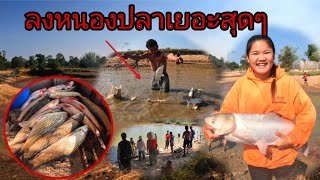 ไปจับปลาได้เยอะสุดๆมีแต่โตใหญ่ๆม่วนคัก//ໄປຈັບປາໄດ້ຫລາຍສຸດໆມີແຕໂຕໃຫຍ່ໆມ່ວນຄັກ