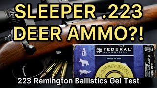 .223 DEER/VARMINT AMMO?! 223 Remington Federal Powershok 64gr Ammo Test