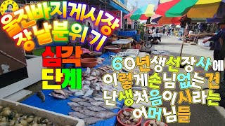 伝統市場 울진바지게시장 5일장날 농수산물시세, 장날분위기 견문록♡삶1929/Uljin traditional market, korea