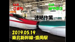 E５系はやぶさ・E６系こまち連結作業！！【2019.05.19　盛岡駅→仙台駅】