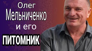 Аlabai / Заводчики собак / Знаменитый кировоградский питомник