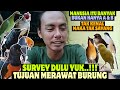 MINGGU SANTAI, SURVEY DULU YUK ‼️ APA SIH, TUJUANMU MERAWAT BURUNG ⁉️