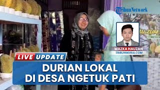 Durian Sisa Gigitan Tupai di Pati Diburu, Zumrotus Sholehah Kebanjiran Pesanan Raja Buah Lokal Legit