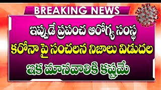 ప్రజలకు కరోనా వైరస్ పై మళ్లీ హెచ్చరికలు జారీ high alert issued by who on covid-19 new veriants.