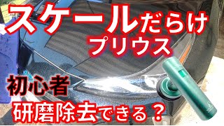 【ウォータースポットだらけのプリウス】ケミカル剤で取れないスケールを初心者が磨いて除去