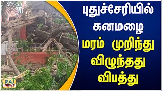 புதுச்சேரியில் கனமழை மரம் முறிந்து விழுந்தது விபத்து..! | tree | Puducherry | heavy rain