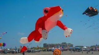 World's Biggest Weird Kites || World's kites Festival