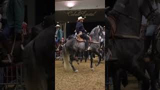 Los cuacos en la Feria.  #iconlens #feriadelcaballo #caballos #caballosespanoles #horse #banda