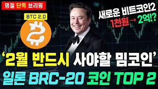 (단독속보) 2월 역대급 불장 임박! 단 천원만 사세요! 2억 부자되는 일론머스크 BRC-20 밈코인 나왔다