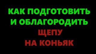 Как подготовить дубовые чипсы (щепу) к настаиванию