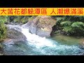 大苦花都躲潭區 人潮爆滿溪 @滑水道底下也不錯