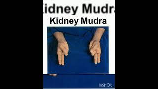 KIDNEY MUDRA.