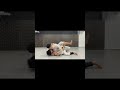 헤드락 클로즈가드 패스 방어법 headlock closed guard pass defense shorts