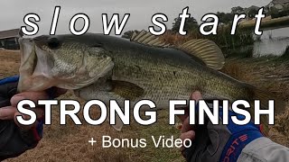 Bass vs Skirted Lunker Log 🎣