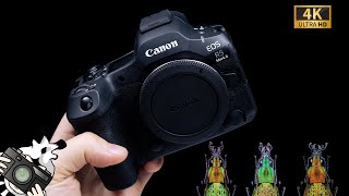 곤충 포토그래퍼가 선택한 최고의 카메라? Canon R5 Mark II 개봉기 및 첫 촬영까지!