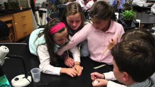 St. Luke's State of the School slideshow