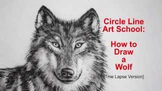 How to Draw a Wolf: Step by Step