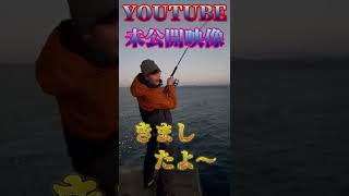 YouTube【未公開映像】堤防でアジを食った巨大生物#Shorts