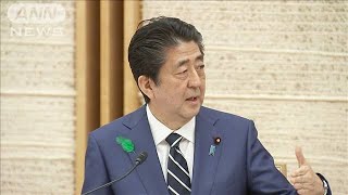 「10万円給付」など説明　安倍総理会見ノーカット2(20/04/17)