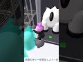 肉屋のオビーを脱出しよう！④ ロブロックス roblox shorts