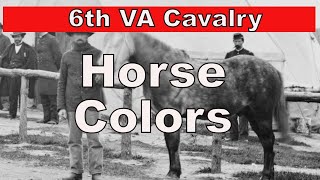 Confederate Cavalry Horse Colors: Civil War Research