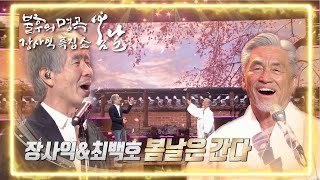 장사익&최백호 - 봄날은 간다 [불후의 명곡2 전설을 노래하다/Immortal Songs 2] | KBS 220226 방송