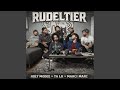 Rudeltier