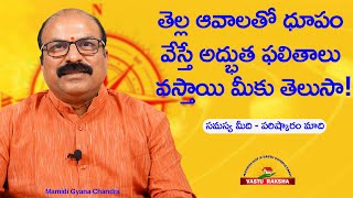 తెల్ల ఆవాలతో ధూపం వేస్తే అద్భుత ఫలితాలు వస్తాయి మీకు తెలుసా!  #vasturaksha #vastuintelugu