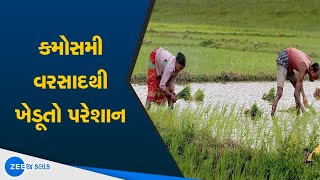 Monsoon Updates In Rajkot | રાજકોટમાં કમોસમી વરસાદ | માવઠાથી ખેડૂતો ચિંતામાં | Weather News Today