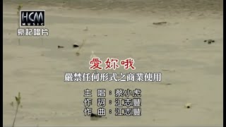 蔡小虎-愛妳哦(官方KTV版)