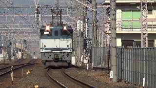 貨物列車 EF65-2050 白プレート機初撮影！ 長岡京駅