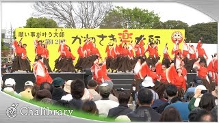 【4K】鳳遙恋｜浪漫（かわさき楽大師 2016）