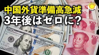 中国外貨準備高急減 3年後にはゼロになる恐れも【アポロ新聞】